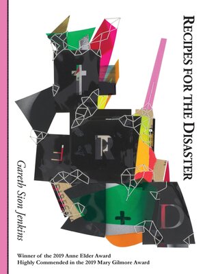 cover image of Recipes for the Disaster